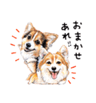 ハッピーワンコまにあ2（個別スタンプ：13）
