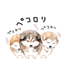 ハッピーワンコまにあ2（個別スタンプ：19）
