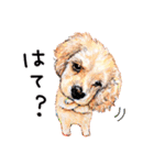 ハッピーワンコまにあ2（個別スタンプ：21）