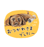ハッピーワンコまにあ2（個別スタンプ：31）