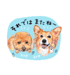 ハッピーワンコまにあ2（個別スタンプ：33）