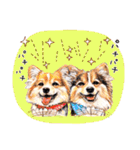 ハッピーワンコまにあ2（個別スタンプ：34）