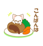 【犬屋】うちの子一番(チワワ)②（個別スタンプ：4）