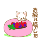 【犬屋】うちの子一番(チワワ)②（個別スタンプ：6）