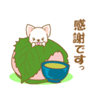 【犬屋】うちの子一番(チワワ)②（個別スタンプ：12）