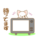 【犬屋】うちの子一番(チワワ)②（個別スタンプ：26）