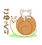 【犬屋】うちの子一番(チワワ)②（個別スタンプ：28）