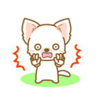 【犬屋】うちの子一番(チワワ)②（個別スタンプ：33）