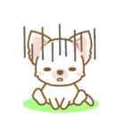 【犬屋】うちの子一番(チワワ)②（個別スタンプ：34）