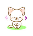 【犬屋】うちの子一番(チワワ)②（個別スタンプ：35）