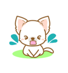 【犬屋】うちの子一番(チワワ)②（個別スタンプ：37）