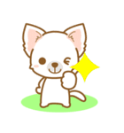 【犬屋】うちの子一番(チワワ)②（個別スタンプ：40）