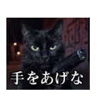 ハードボイルド毒舌猫【黒猫・架空映画風】（個別スタンプ：2）
