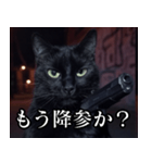 ハードボイルド毒舌猫【黒猫・架空映画風】（個別スタンプ：6）