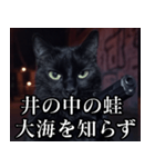 ハードボイルド毒舌猫【黒猫・架空映画風】（個別スタンプ：7）