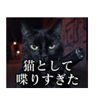 ハードボイルド毒舌猫【黒猫・架空映画風】（個別スタンプ：8）