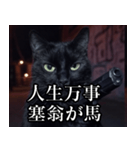 ハードボイルド毒舌猫【黒猫・架空映画風】（個別スタンプ：9）