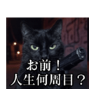 ハードボイルド毒舌猫【黒猫・架空映画風】（個別スタンプ：10）