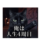 ハードボイルド毒舌猫【黒猫・架空映画風】（個別スタンプ：11）