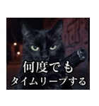 ハードボイルド毒舌猫【黒猫・架空映画風】（個別スタンプ：13）