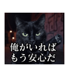 ハードボイルド毒舌猫【黒猫・架空映画風】（個別スタンプ：15）