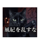 ハードボイルド毒舌猫【黒猫・架空映画風】（個別スタンプ：18）