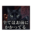 ハードボイルド毒舌猫【黒猫・架空映画風】（個別スタンプ：19）