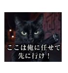 ハードボイルド毒舌猫【黒猫・架空映画風】（個別スタンプ：20）