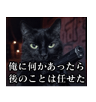 ハードボイルド毒舌猫【黒猫・架空映画風】（個別スタンプ：21）
