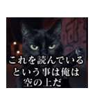 ハードボイルド毒舌猫【黒猫・架空映画風】（個別スタンプ：22）
