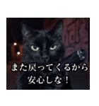 ハードボイルド毒舌猫【黒猫・架空映画風】（個別スタンプ：23）