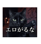 ハードボイルド毒舌猫【黒猫・架空映画風】（個別スタンプ：24）