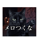 ハードボイルド毒舌猫【黒猫・架空映画風】（個別スタンプ：25）