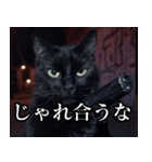 ハードボイルド毒舌猫【黒猫・架空映画風】（個別スタンプ：26）