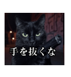 ハードボイルド毒舌猫【黒猫・架空映画風】（個別スタンプ：27）
