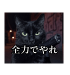 ハードボイルド毒舌猫【黒猫・架空映画風】（個別スタンプ：28）