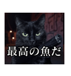 ハードボイルド毒舌猫【黒猫・架空映画風】（個別スタンプ：29）