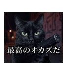 ハードボイルド毒舌猫【黒猫・架空映画風】（個別スタンプ：30）