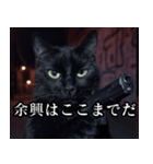 ハードボイルド毒舌猫【黒猫・架空映画風】（個別スタンプ：32）