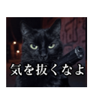 ハードボイルド毒舌猫【黒猫・架空映画風】（個別スタンプ：34）