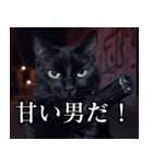 ハードボイルド毒舌猫【黒猫・架空映画風】（個別スタンプ：35）