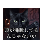 ハードボイルド毒舌猫【黒猫・架空映画風】（個別スタンプ：36）