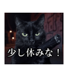 ハードボイルド毒舌猫【黒猫・架空映画風】（個別スタンプ：37）