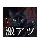 ハードボイルド毒舌猫【黒猫・架空映画風】（個別スタンプ：39）