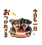 毎日使える！感情豊かで可愛いチワワ（個別スタンプ：5）