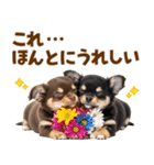 毎日使える！感情豊かで可愛いチワワ（個別スタンプ：6）