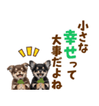 毎日使える！感情豊かで可愛いチワワ（個別スタンプ：14）