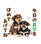 毎日使える！感情豊かで可愛いチワワ（個別スタンプ：18）
