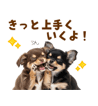 毎日使える！感情豊かで可愛いチワワ（個別スタンプ：19）