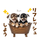毎日使える！感情豊かで可愛いチワワ（個別スタンプ：21）